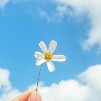 大话封神榜bt版下载